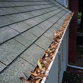 Gutter cleaning tips and tricks: